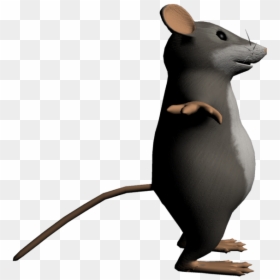 3d Rat Transparent, HD Png Download - rat.png