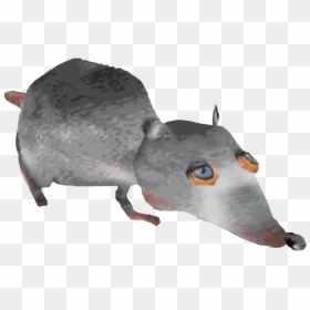 Jerma Giant Rat Png, Transparent Png - rat.png