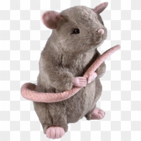 Scabbers Harry Potter, HD Png Download - rat.png