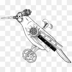 Steampunk Compass Drawing At Getdrawings - Steam Punk Birds, HD Png Download - drawing compass png