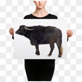 "  Class="lazyload Lazyload Mirage Cloudzoom "  Style= - Canvas, HD Png Download - water buffalo png