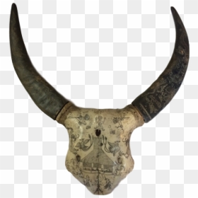 Skull, HD Png Download - water buffalo png
