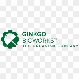 Ginkgo Bioworks Logo, HD Png Download - ginkgo png