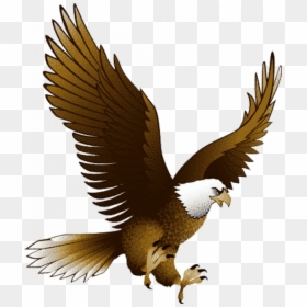 Flying Eagle Clipart, HD Png Download - eagle head vector png