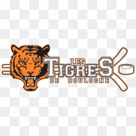 Tigres De Boulogne Bandeau, HD Png Download - tigres png