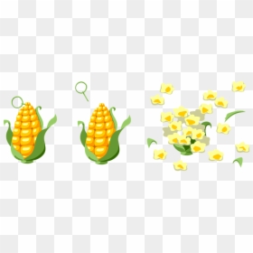 Corn Grenade, HD Png Download - pipoca png
