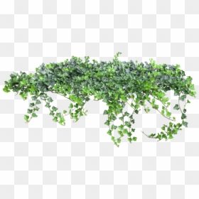 Small Flower Tree Png, Transparent Png - tree vines png