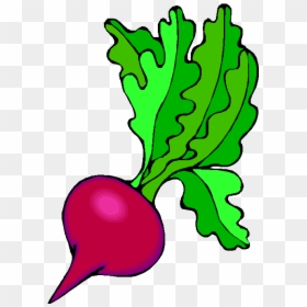 Mango Clipart Buah Buahan - Salad Vegetables Drawing, HD Png Download - mango tree png