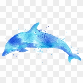 Watercolor Dolphin Png , Png Download - Blue Dolphin Water Color, Transparent Png - dolphin.png