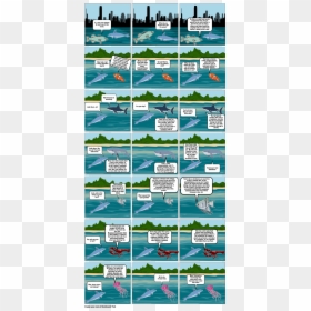 Windsurfing, HD Png Download - dolphin.png