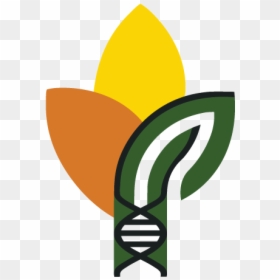 Emblem, HD Png Download - bird of paradise plant png