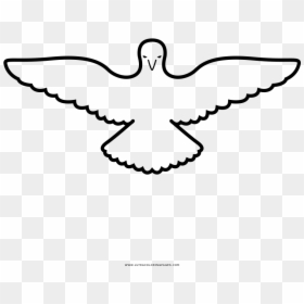Dove Coloring Page - Line Art, HD Png Download - pomba png