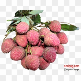 Lychee, HD Png Download - lychee png