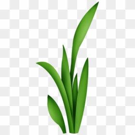 ใบไม้ รูป ดอกไม้ การ์ตูน, HD Png Download - hojas verdes png