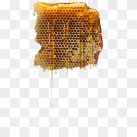 #honey #sweet #beehive - Beehive Png, Transparent Png - beehive pattern png