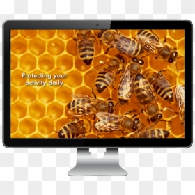 Bee Farm New Zealand, HD Png Download - beehive pattern png