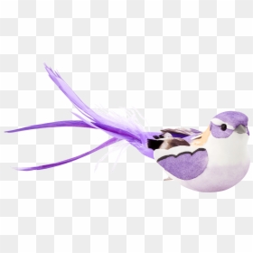 European Swallow, HD Png Download - purple feather png