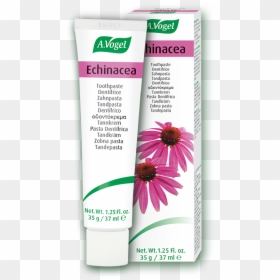Vogel Dentifrice Echinacea - Vogel Echinacea Toothpaste 100g, HD Png Download - toothpaste tube png