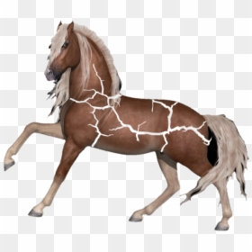 #cavalo #animais #animal - Horse, HD Png Download - cavalo png