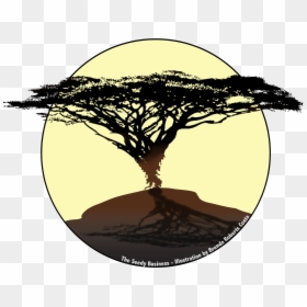 Acacia Tree Png, Transparent Png - acacia tree png