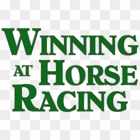Winning At Horse Racing - Love Camping, HD Png Download - horse racing png