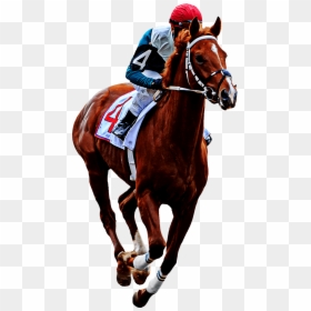 Sorrel, HD Png Download - horse racing png