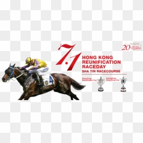 香港 共 慶 回歸 賽馬 日 2018, HD Png Download - horse racing png