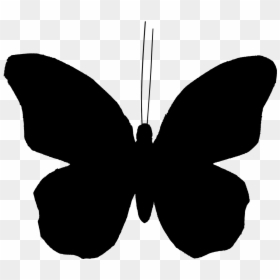 Clip Art Butterfly Vector Graphics Illustration Image - Butterfly Silhouette Clip Art, HD Png Download - moths png