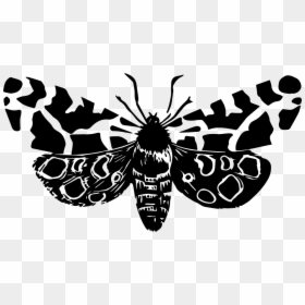 Transparent Moth Art, HD Png Download - moths png