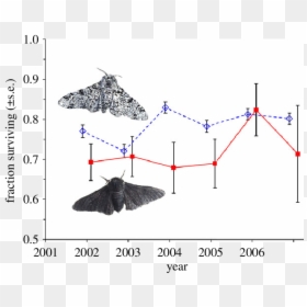 Population Of Peppered Moths Over The Years, HD Png Download - moths png