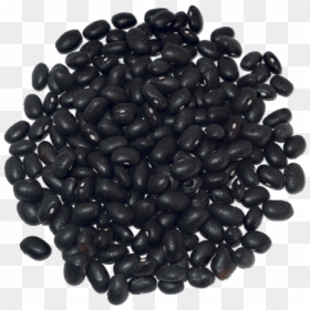 Pulse, HD Png Download - frijoles png