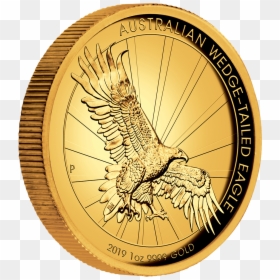 Iaus851983 1 - Wedge Tailed Eagle 2019 Gold, HD Png Download - gol png