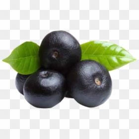Açaí Fruta , Png Download - Acai Berry, Transparent Png - acai berry png