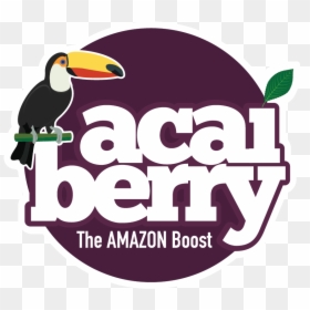Toucan, HD Png Download - acai berry png