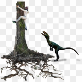 Ftestickers Tree Man Scared Dinosaur Branches Stickers - Stickers Man Png Picsart, Transparent Png - scared man png