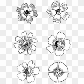 Flower Bloom Drawing, HD Png Download - flores dibujo png