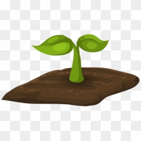 Cartoon Image Of Sprouts, HD Png Download - plant growing png