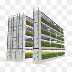 Ampl - Commercial Building, HD Png Download - plant growing png