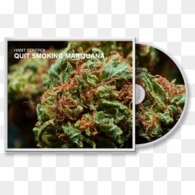Full Hd Weed Bud, HD Png Download - marijuana.png