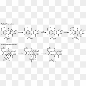 Mao Mechanisms - Monoamine Oxidase Reaction Mechanism, HD Png Download - mao png