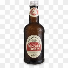Ginger Beer Ferdinand, HD Png Download - pouring png