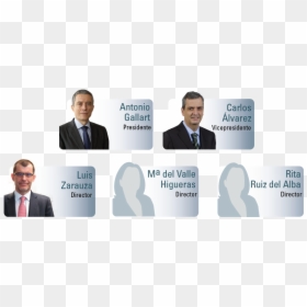 Organigrama-directores - Businessperson, HD Png Download - ejecutivos png