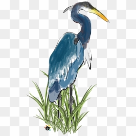 Great Blue Heron, HD Png Download - blue heron png