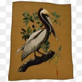 Brown Pelican, HD Png Download - blue heron png