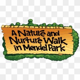 A Nature Nurture Walk In Mendel Park, HD Png Download - png nature