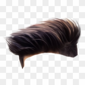 Png Background 26 January, Transparent Png - hair back png