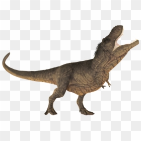 Dinosaur Calendar 2019 Printable, HD Png Download - t rex skeleton png