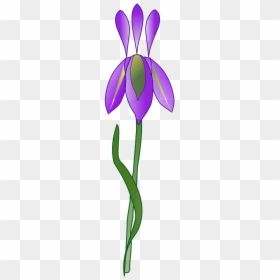 Iris Flower Vector Png, Transparent Png - purple iris png