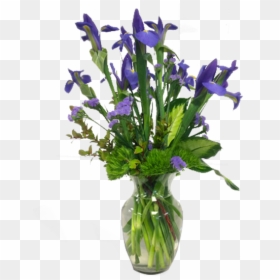 Balloonflower Png, Transparent Png - purple iris png