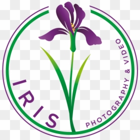 Purple Iris Png, Transparent Png - purple iris png